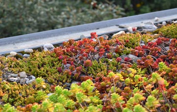 the cost of Little Cawthorpe green roof installation