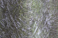 Little Cawthorpe fibreglass roof work